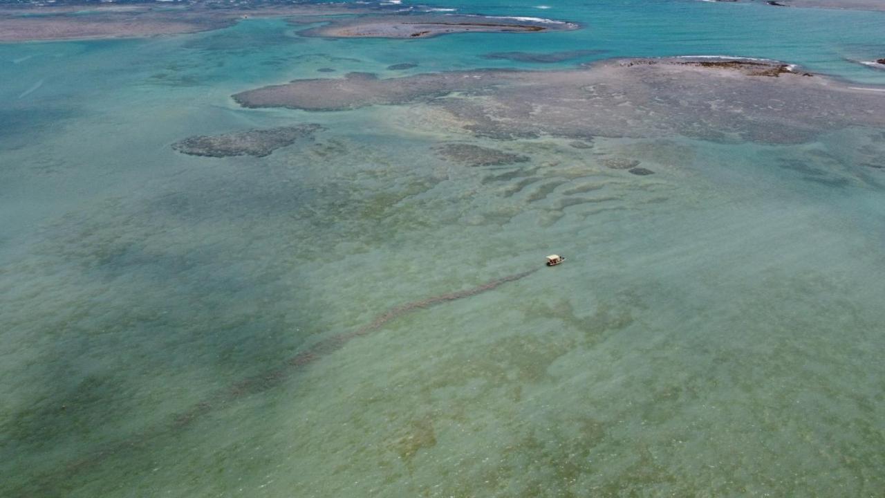 Chales Sol De Milagres São Miguel dos Milagres Εξωτερικό φωτογραφία
